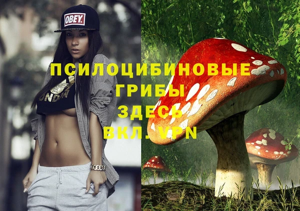 соль ск Белокуриха