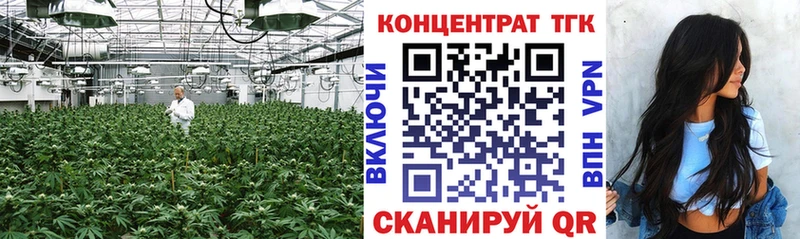 дарнет шоп  Цоци-Юрт  блэк спрут зеркало  Дистиллят ТГК жижа 