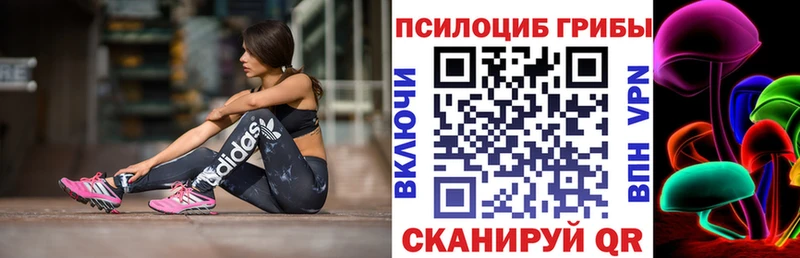 Галлюциногенные грибы GOLDEN TEACHER где найти Цоци-Юрт