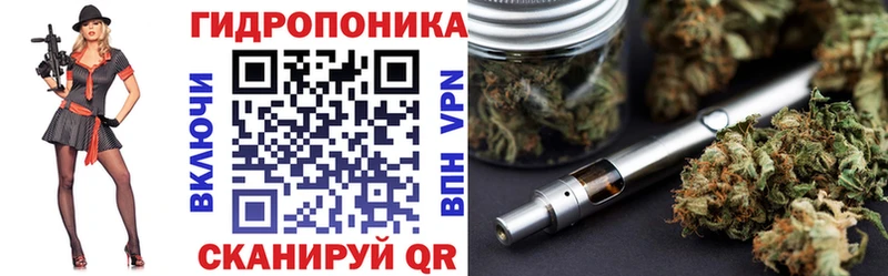 Шишки марихуана гибрид  Цоци-Юрт 